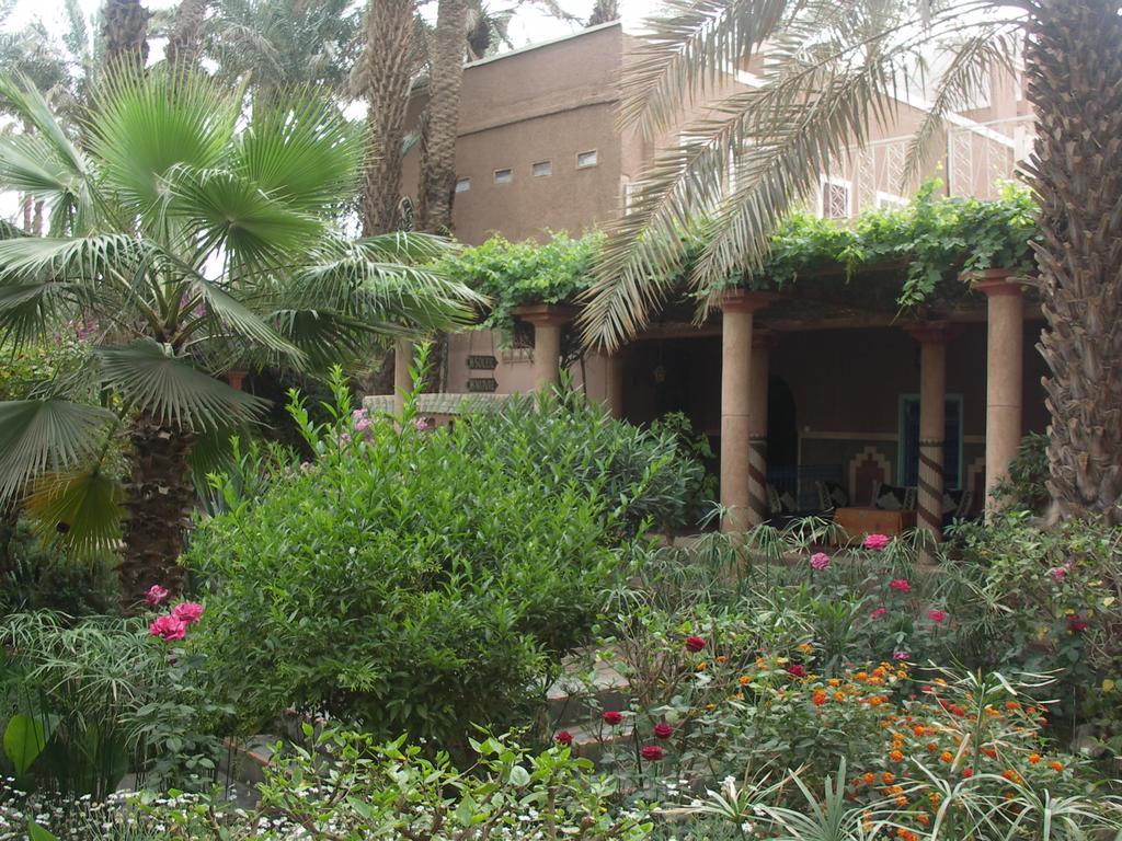 Fibule Du Draa Kasbah D'Hotes 자고라 외부 사진