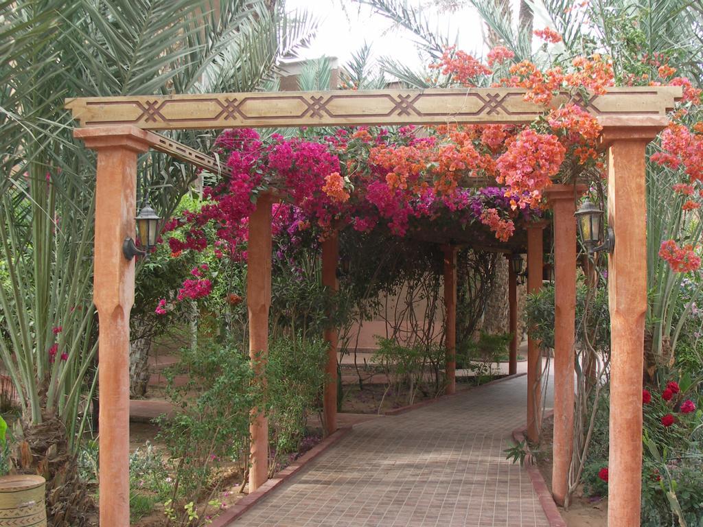 Fibule Du Draa Kasbah D'Hotes 자고라 외부 사진