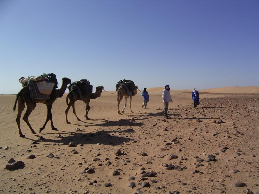 Fibule Du Draa Kasbah D'Hotes 자고라 외부 사진