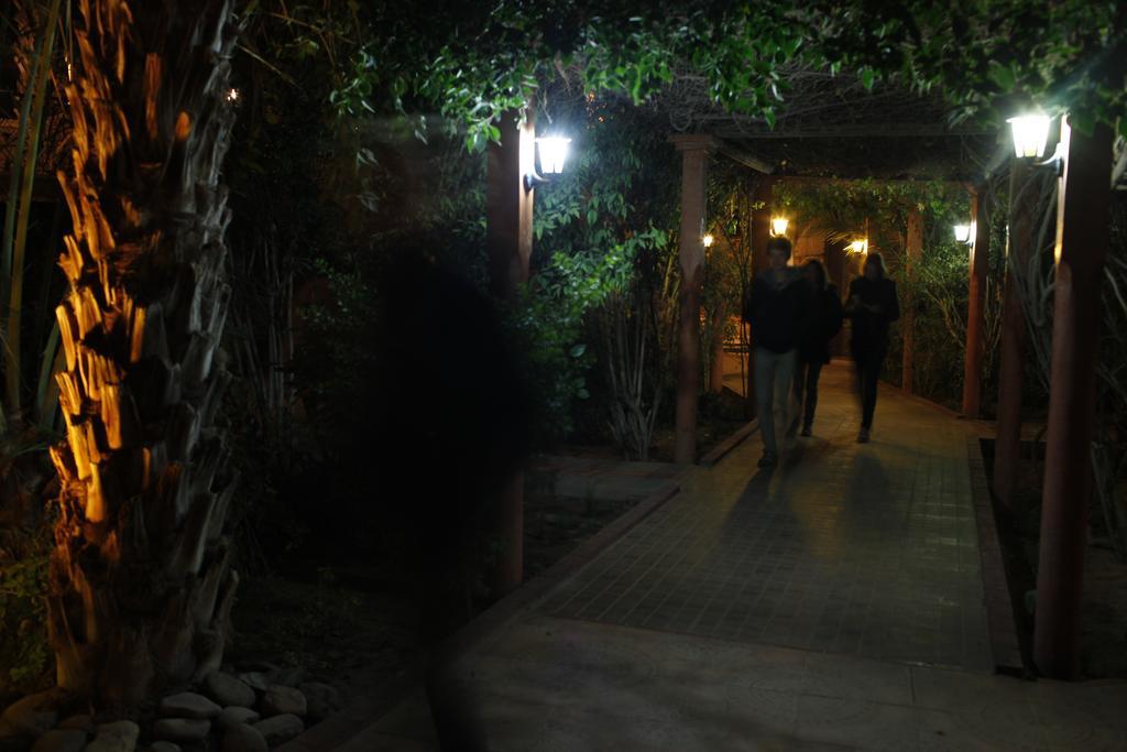 Fibule Du Draa Kasbah D'Hotes 자고라 외부 사진
