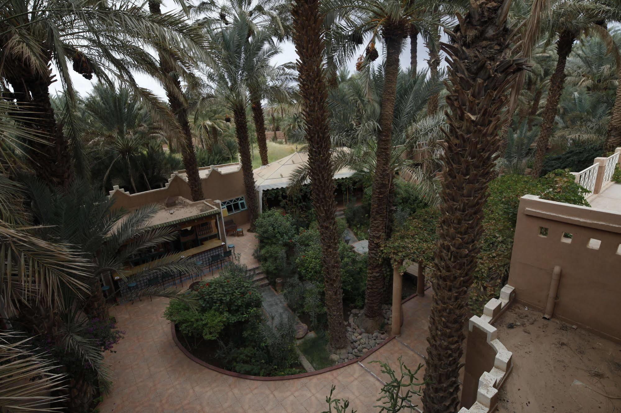 Fibule Du Draa Kasbah D'Hotes 자고라 외부 사진