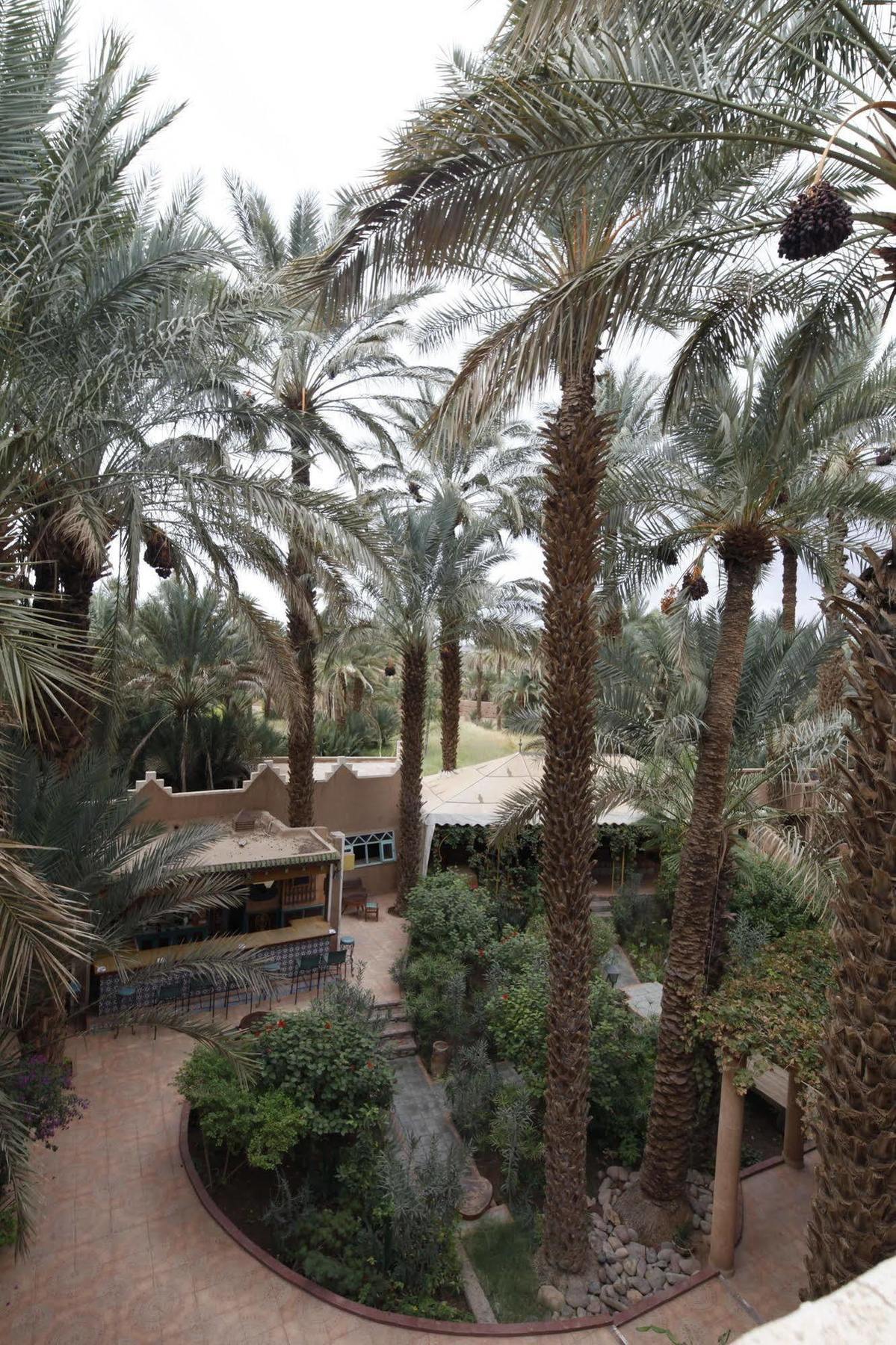 Fibule Du Draa Kasbah D'Hotes 자고라 외부 사진
